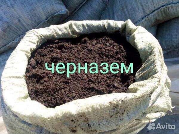 Чернозем