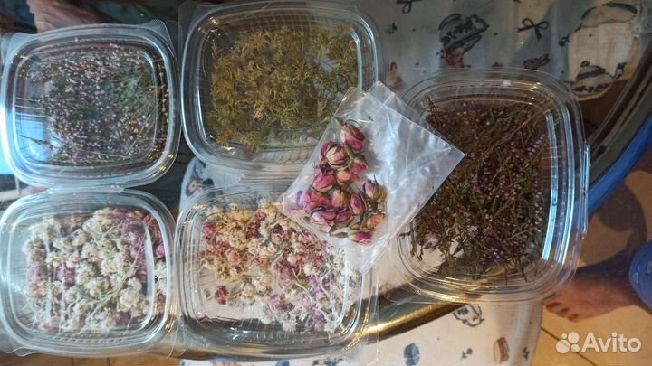 Сухоцветы для творчества