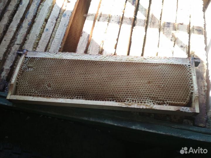 Рамки для магазина