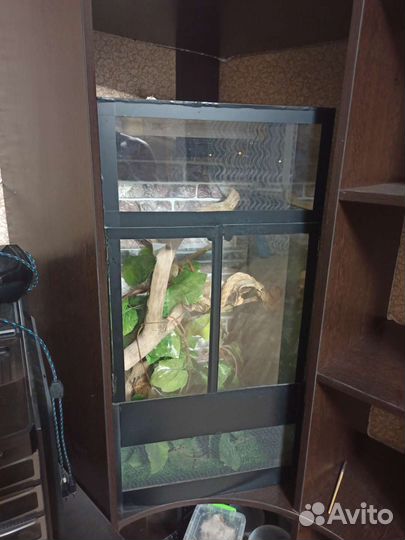 Террариум для рептилий