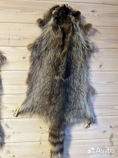 Шкура енота