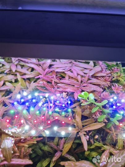 Аквариум с оборудованием