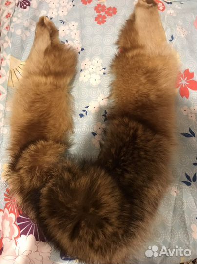 Воротник лисицы