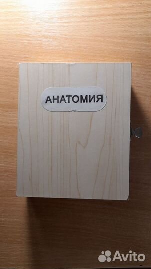 Набор препаратов для микроскопа 