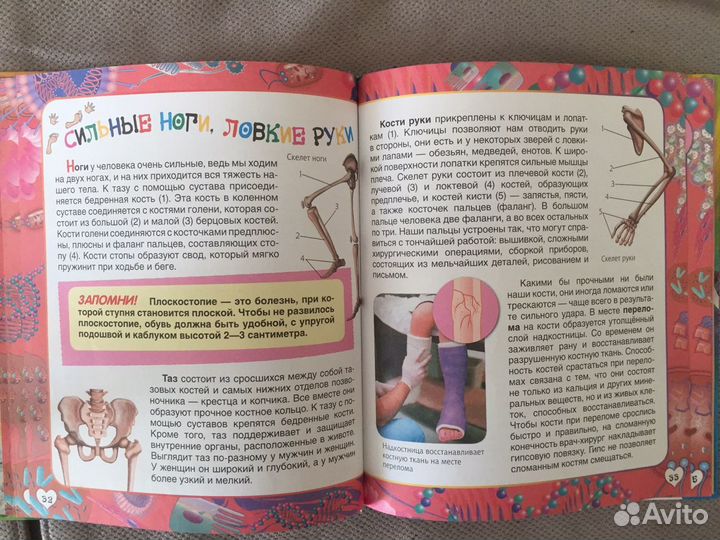 Детская энциклопедия «Человек»