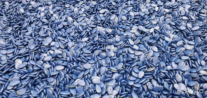 Семена арбуза Конго