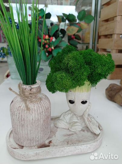 Гипсовый Грут с ягелем