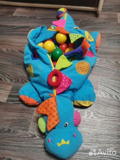 Сухой бассейн дракон