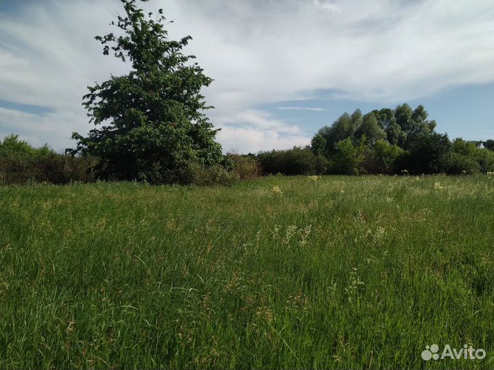 Луга от 5 Га