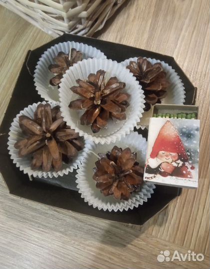 Шишки сосновые для розжига на пчелином воске