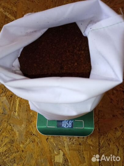 Чага березовая от сборщика