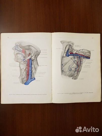 Анатомический атлас человеческого тела