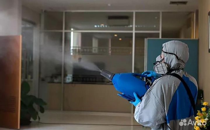 Избавление от насекомых