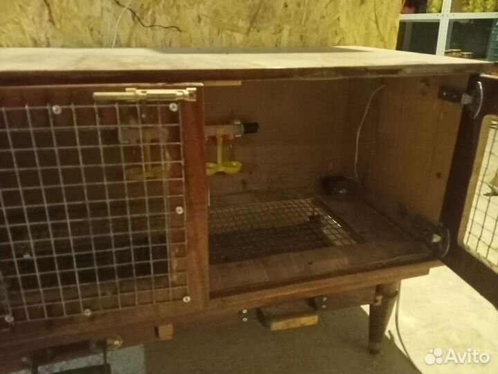 Брудер для цыплят бу