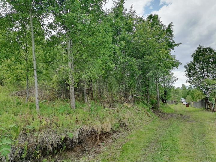 Участок 12 сот. (СНТ, ДНП)