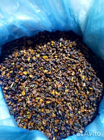 Облепиха сушеная Сибирская