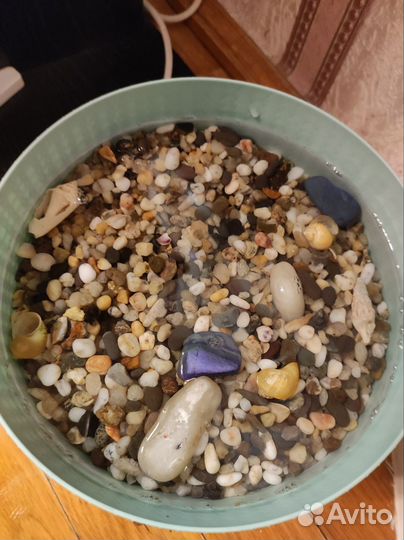 Аксессуары к аквариуму