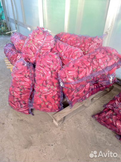 Перец 2 сорт