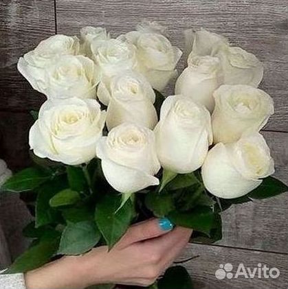 Высокие розы