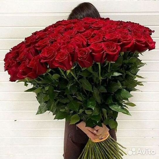 Метровые розы с доставкой