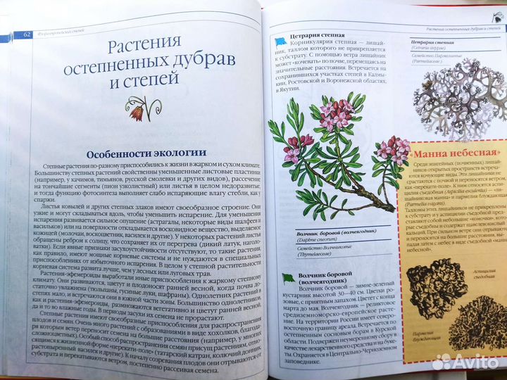 Красная книга 