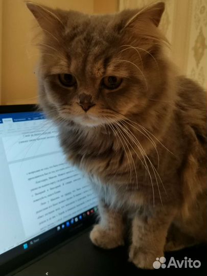 Книги разных жанров