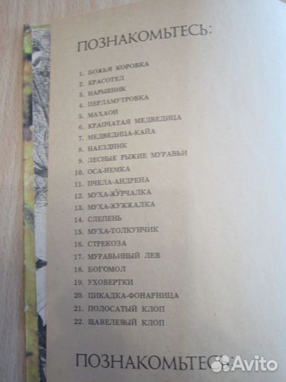 Книга Не просто букашки