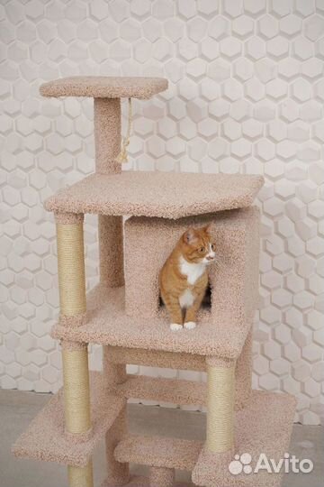 Когтеточка Домик для кошек / Игровой комплекс