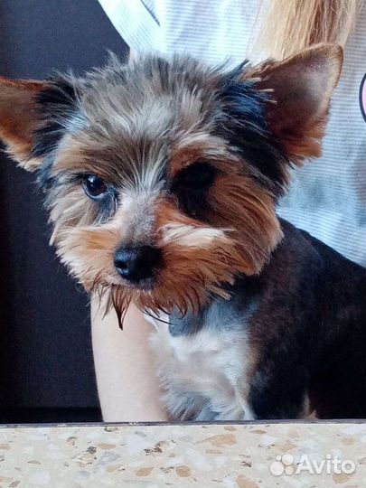 Ищем подружку