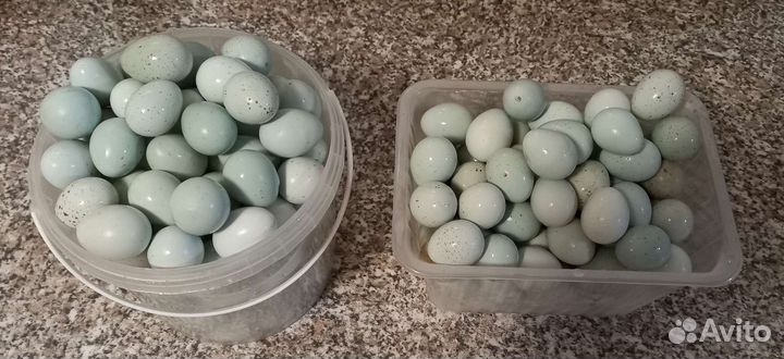 Яйца перепелиные домашние