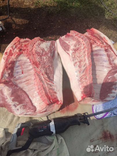 Мясо свинина домашняя