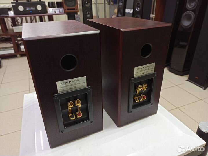 Полочная акустика Totem Acoustic Skylight
