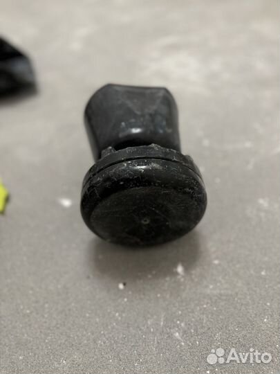 Колокол СГУ элина