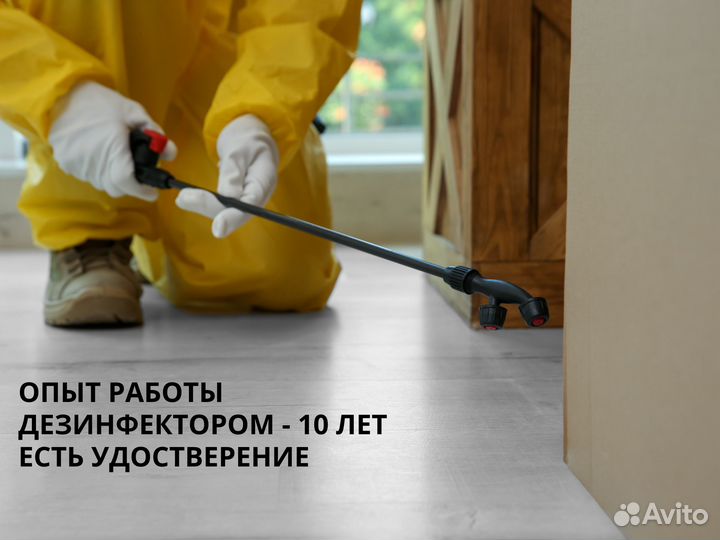 Дератизация. Уничтожение крыс, мышей