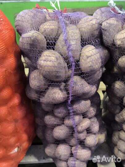 Картофель оптом от производителя