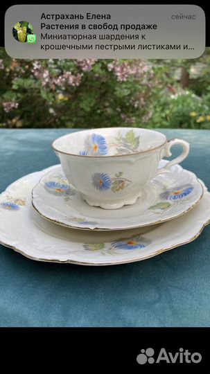 Чайное трио Германия