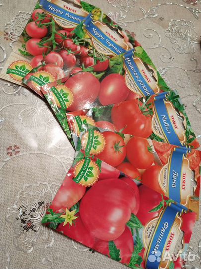 Рассада помидор