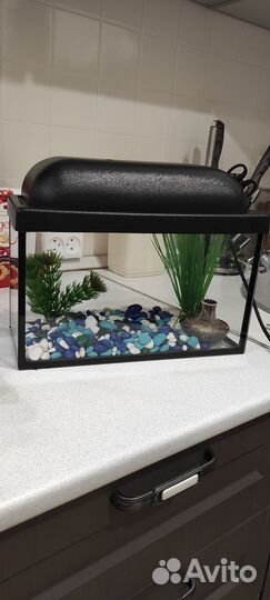 Продам аквариум