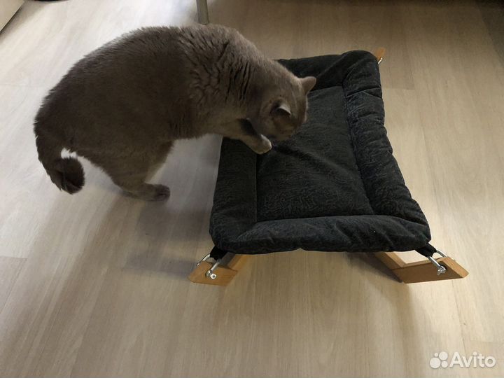 Лежанка-гамак для кошек и маленьких собак