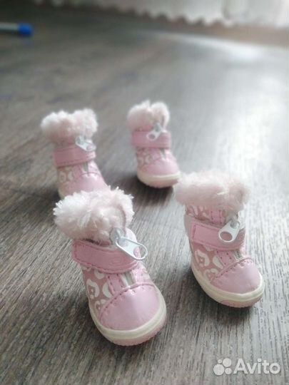 Ботинки собачьи