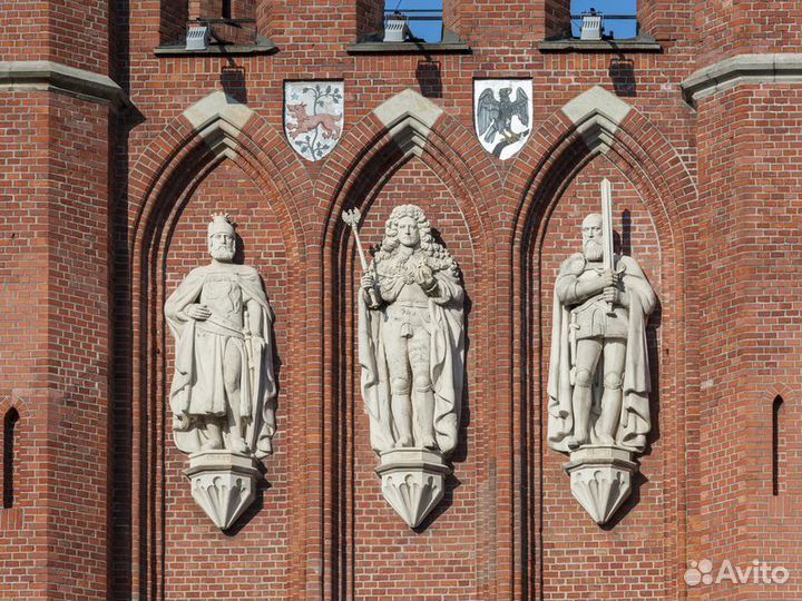 Экскурсия — Калининград — Калининград для новичков