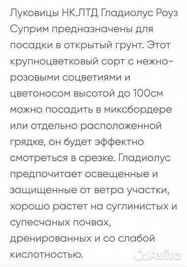Гладиолусы (луковицы) Роуз Суприм