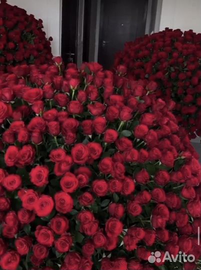 Розы Симферополь Доставка Цветов