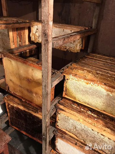 Мед в сотах (рамках)