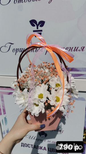 Живые цветы розы