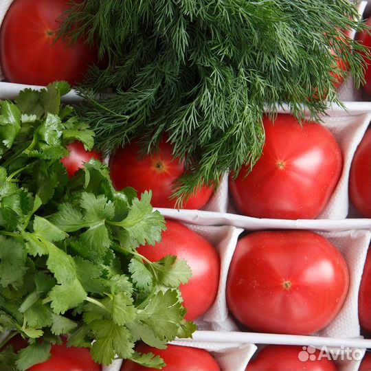 Выкладчик зелени