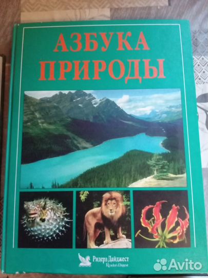 Много разных книг
