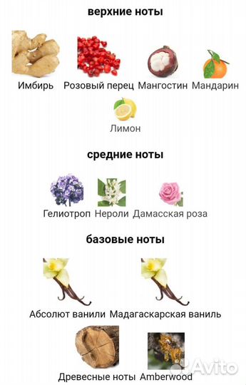 Want Pink Ginger dsquared²— аромат для женщин