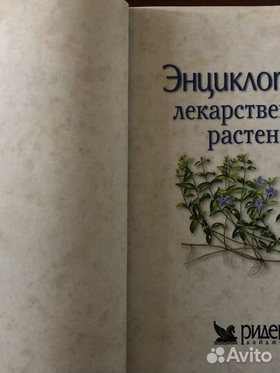 Энциклопедия лекарственных растений