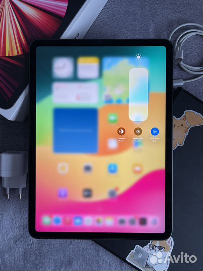 iPad Pro 11 2021 m1 256gb